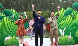 新疆明星爆料新闻视频最新,揭秘幕后的惊人真相！